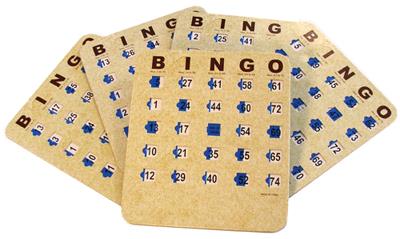 Rental store for BINGO SHUTTER CARDS in Mycity ZZ