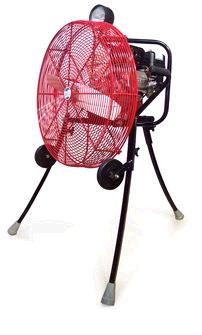 Rental store for FAN, BRUSH in Mycity ZZ