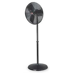 Rental store for FAN, 30  ON 5  STAND in Mycity ZZ