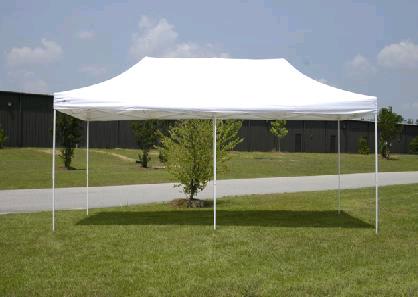 Rental store for CANOPY, 10  X 20 in Mycity ZZ