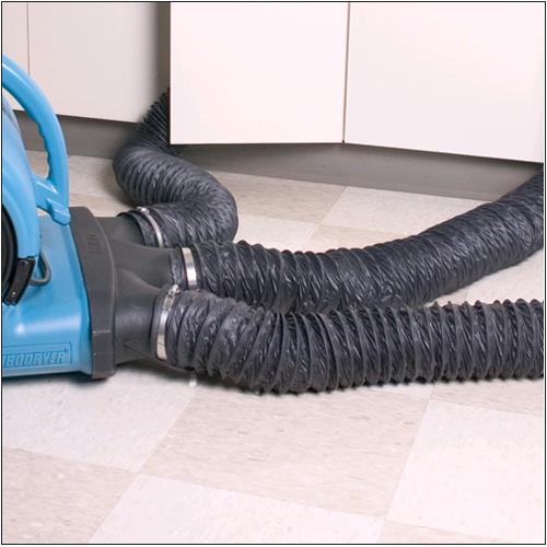 Rental store for FAN, CARPET ATTACHMENT 3 HOSE in Mycity ZZ