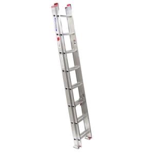 Rental store for LADDER, EXTENSION 16 in Mycity ZZ