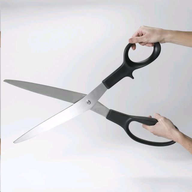 Rental store for SCISSOR, LARGE RIBBON CUTTING in Mycity ZZ