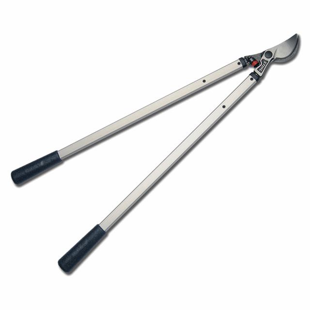 Rental store for LOPPER - PRUNER in Mycity ZZ