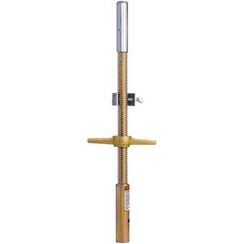 Rental store for SCAFFOLD LEVELING JACK in Mycity ZZ
