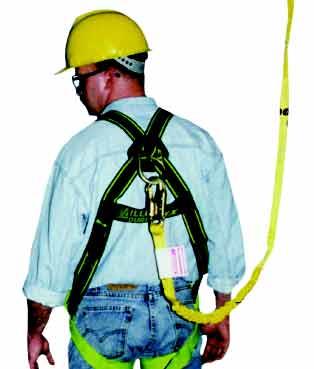 Rental store for HARNESS, FULL BODY SAFETY in Mycity ZZ