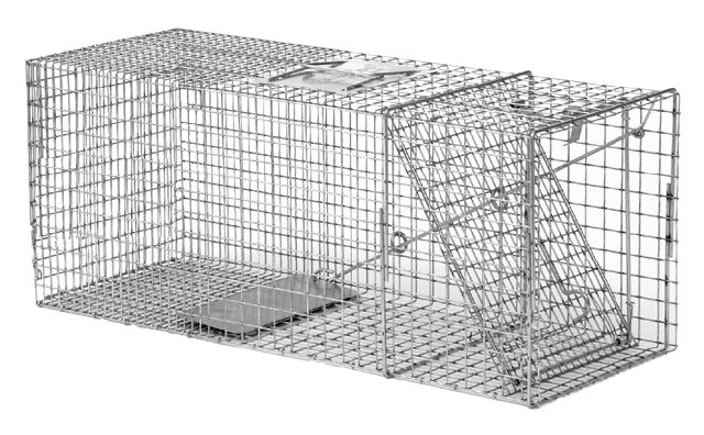 Rental store for TRAP, ANIMAL  SM  CHIPMUNK in Mycity ZZ