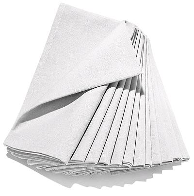 Rental store for LINEN, NAPKIN 18  X 18  WHITE 10 COUNT in Mycity ZZ