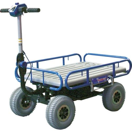Rental store for CART, ELECTRIC in Mycity ZZ