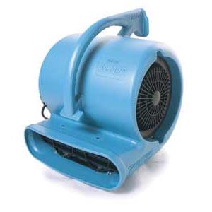 Rental store for FAN, CARPET DRYER in Mycity ZZ