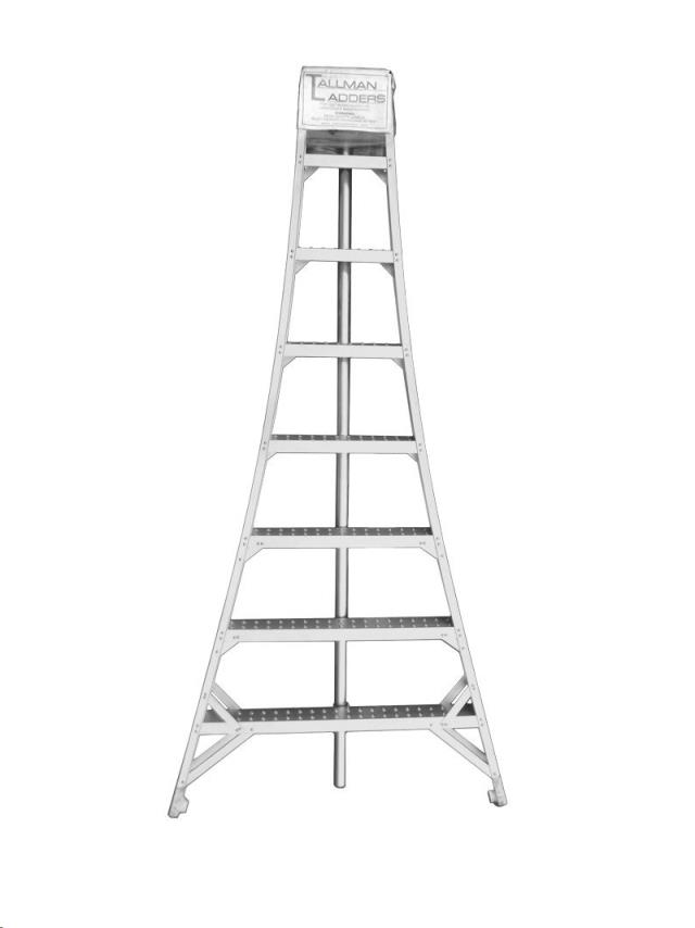 Rental store for LADDER, ORCHARD 10 in Mycity ZZ