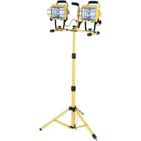 Rental store for LIGHT, 500 WATT DOUBLE in Mycity ZZ