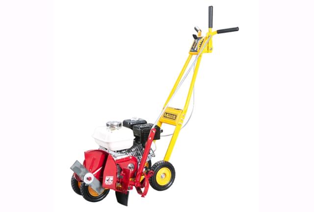 Rental store for EDGER, LAWN WALK BEHIND GAS in Mycity ZZ